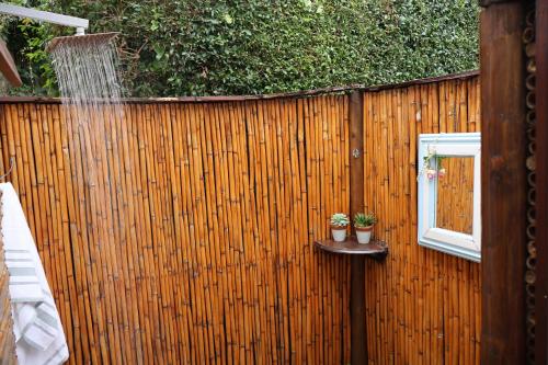 two potted plants on a fence with a window at Aalkie's Dream in Swellendam