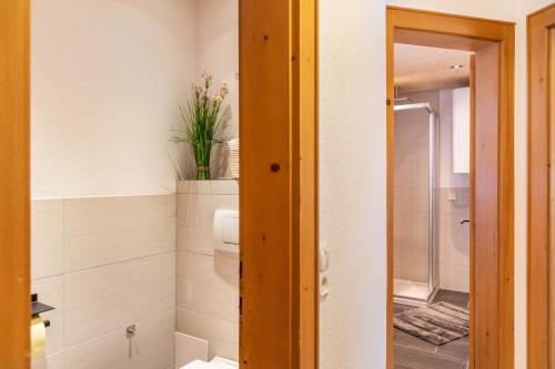 a bathroom with a shower and a toilet and a sink at Apart Celina in Oetz