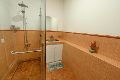 a bathroom with a shower and a sink and a mirror at Villa 53 in Battaramulla