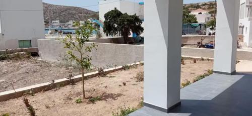 a small tree in front of a building at #7 Lipsi Port Apartment Sea Views-Ground floor-No#7 in Lipsoi