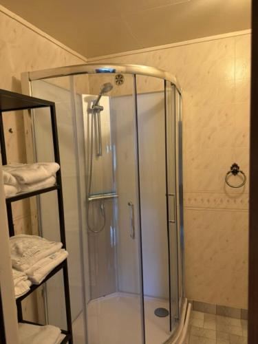 a shower with a glass enclosure in a bathroom at Sunde Fjord view, easy and cheap! in Sula