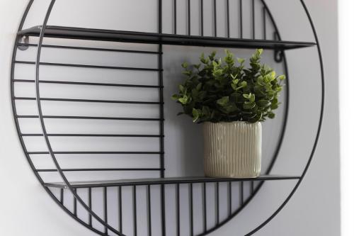 a mirror with a plant on a shelf at Spazioso appartamento con terrazzo Navigli, Bocconi in Milan