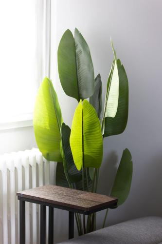 a plant with green leaves sitting next to a table at Spazioso appartamento con terrazzo Navigli, Bocconi in Milan