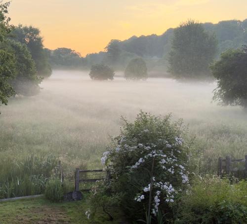a foggy field with a fence in the middle of a field at The Mill House in Berwick Saint James