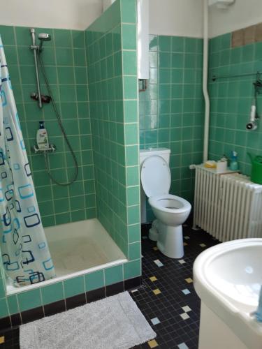 a green tiled bathroom with a toilet and a shower at Villa de Weser Hameln in Hameln