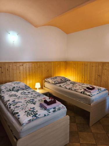 two beds in a room with wooden walls at Ubytování U Tajčů in Dolní Beřkovice