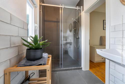 a bathroom with a shower and a potted plant at Villa Hoheneck in Wildemann