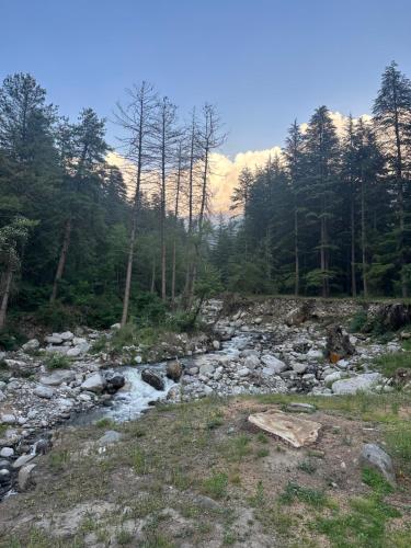 a river in the middle of a forest at The Highgrove House, Manali in Haripūr