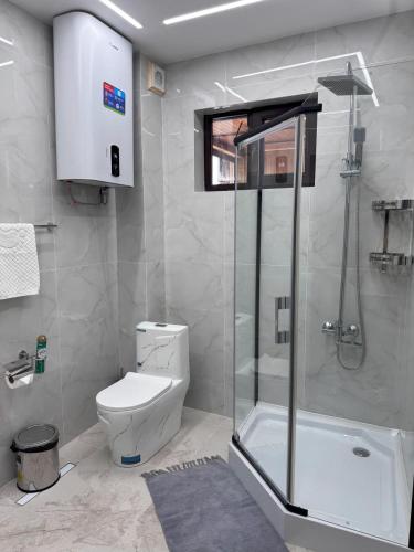 ビシュケクにあるKausar Hotelのトイレとガラスのシャワー付きのバスルーム