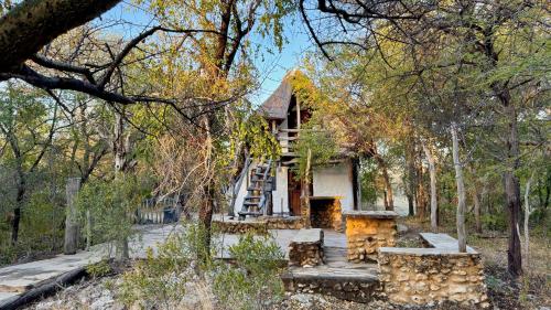 a tree house with a ladder in the woods at Roy's Rest Camp in Groutfontein