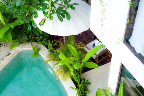 an overhead view of a swimming pool with plants at Ducat Living in Canggu