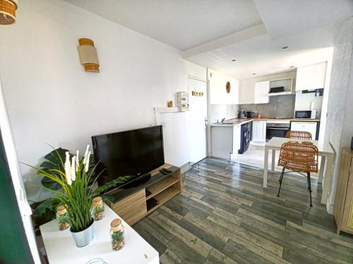 Il comprend un salon avec une télévision et une cuisine. dans l'établissement Studio Montpellier Gare St Roch 2 personnes, à Montpellier