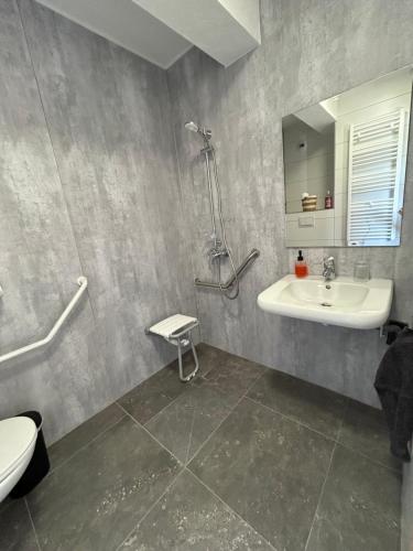 a bathroom with a sink and a toilet and a mirror at Gite Clé des Champs in Montenois