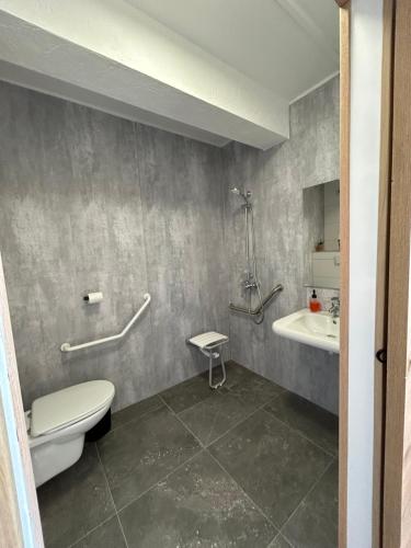 a bathroom with a toilet and a sink at Gite Clé des Champs in Montenois