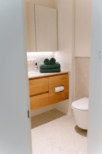 a bathroom with a sink and a toilet and a mirror at La Brise Marine in Ostend