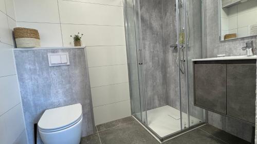 a bathroom with a shower and a toilet and a sink at Gite Clé des Champs in Montenois