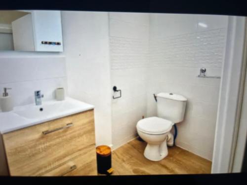 une salle de bain avec des toilettes blanches et un lavabo dans l'établissement Studio climatisé aux plages 1, à Sète