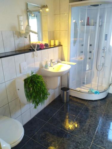 a bathroom with a sink and a shower and a toilet at Ferienwohnung in Rositz