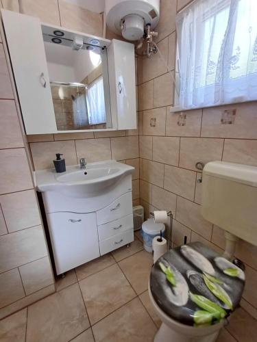 ボガーチにあるDenFi Vendégházの洗面台、トイレ、鏡のあるバスルーム