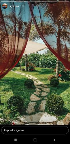 a view of a garden with trees and a path at Il Giardino dei Flintstones B&B in Cerveteri