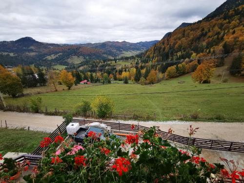 a view of a valley with mountains and flowers at Casa Codrilor in Lacu Rosu