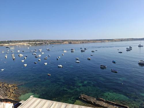 a large body of water with boats in it at Luxury Seafront Apartment with Panoramic Views- Ghadira, Mellieha Bay in Mellieħa