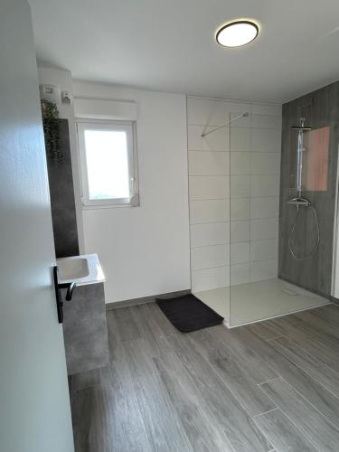 a bathroom with a shower and a sink and a window at Gite Clé des Champs in Montenois