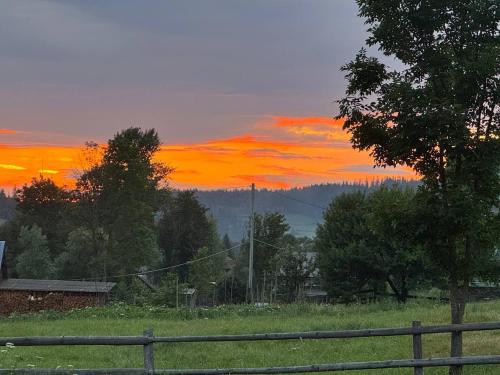 a sunset in a field with a fence and trees at Family House Volosianka in Volosyanka