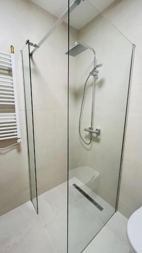 a shower with a glass door in a bathroom at Vitality Apartman in Makó