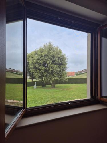 a window with a view of a tree in a field at Villa in Langa in Belvedere Langhe