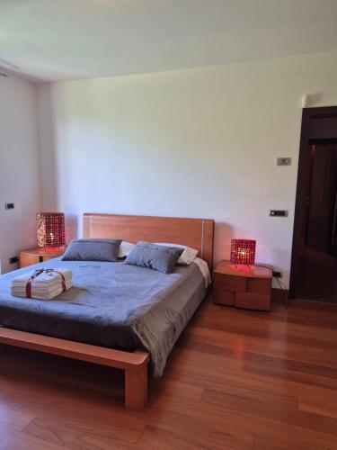 a bedroom with a bed with two lamps on it at Villa in Langa in Belvedere Langhe