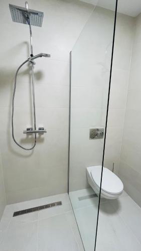 a bathroom with a shower and a toilet at Vitality Apartman in Makó