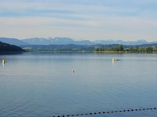 a large lake with yellow buoys in the water at Ferienwohnung bei Helga in Tittmoning
