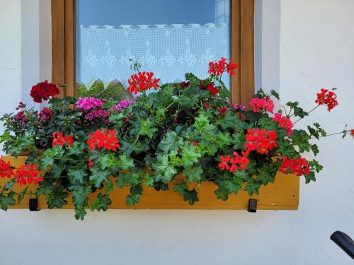 a window box filled with red flowers on a window sill at Ferienwohnung bei Helga in Tittmoning