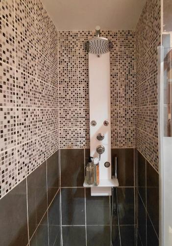 a bathroom with a shower with black and white tiles at L'Odyssée VILLA ILOA in Dommartemont