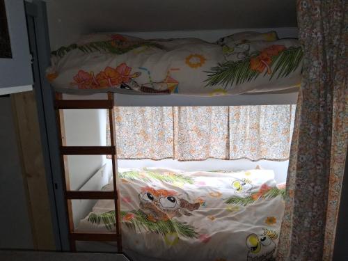 a bunk bed with a ladder in a room at Stuga im Wald mit Seeblick, nahe Vimmerby in Vena