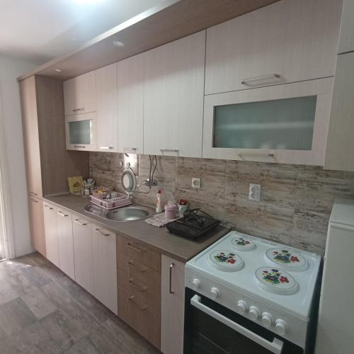 a kitchen with a white stove and a sink at Apartman Icić in Pirot