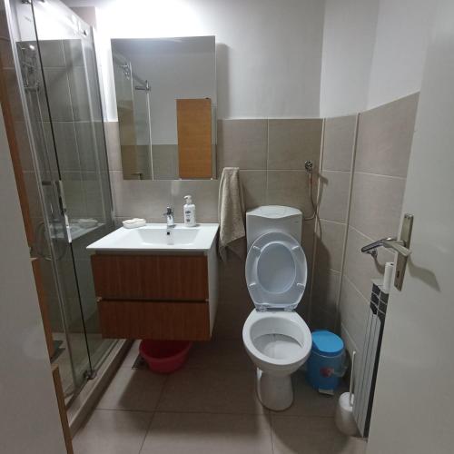 a bathroom with a toilet and a sink and a shower at Apartman Icić in Pirot