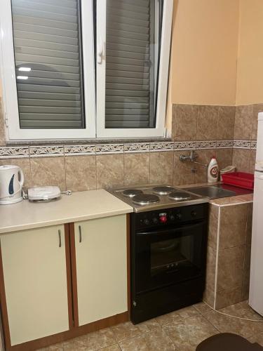 Kuchyň nebo kuchyňský kout v ubytování Apartments Klakor