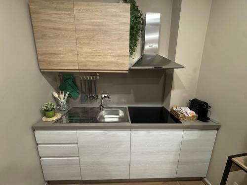 Kuchyň nebo kuchyňský kout v ubytování Palme Suites