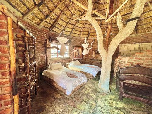 a bedroom with two beds and a tree in it at Roy's Rest Camp in Groutfontein