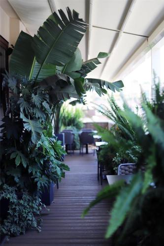 a room filled with lots of plants at Radisson Blu GHR Rome in Rome