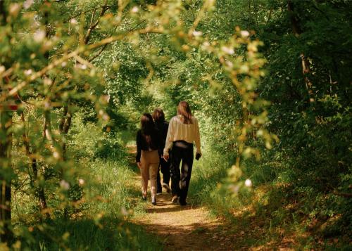 three people walking down a path in the woods at Lufthansa Seeheim - More than a Conference Hotel in Seeheim-Jugenheim