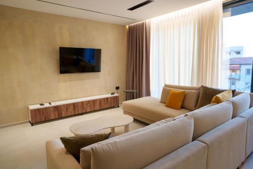 TV a/nebo společenská místnost v ubytování Ionian Premium Villas