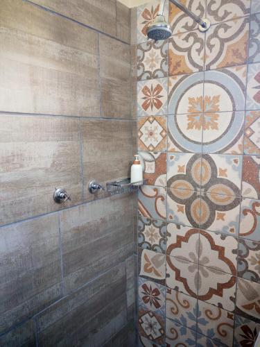 a bathroom with a shower with tiles on the wall at African Hoopoe Inn in Polokwane