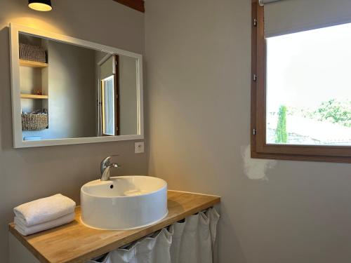 a bathroom with a sink and a mirror at Le Mas des Remparts in Vézénobres