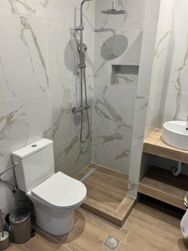 a bathroom with a shower and a toilet and a sink at Nicks apartments in Ierissos
