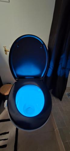 a blue toilet in a bathroom with a blue seat at Sweet Escape -T1 bis romantique in Bourg-lès-Valence