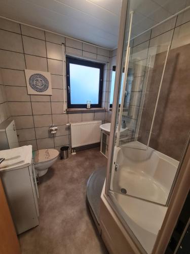 a bathroom with a shower and a toilet and a sink at Ferienwohnung Am Meisenberg in Marsberg