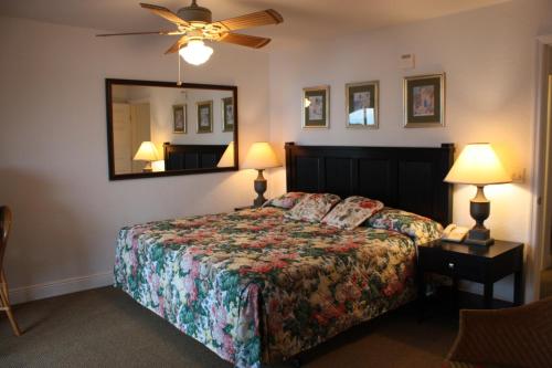 1 dormitorio con cama y espejo en Lake Roy Beach Inn - Winter Haven en Winter Haven